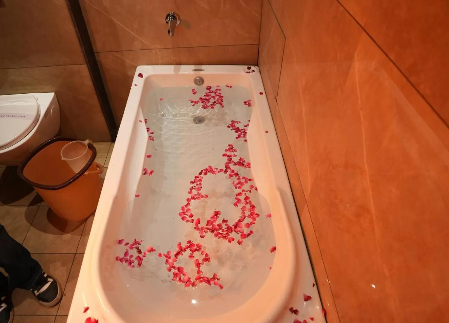 Hotel Pearl Wood Zirakpur India